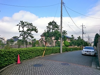 梅雨の中休み!_d0091909_6145642.jpg