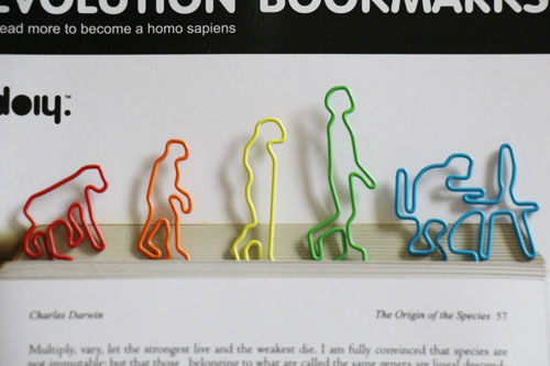 Evolution Bookmark_b0165512_1921878.jpg