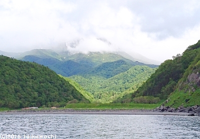 c0156212_10261387.jpg