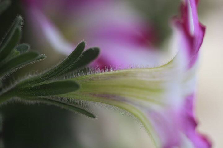 c0367515_21531381.jpg