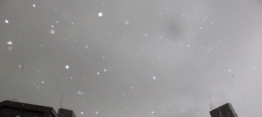c0331825_21300264.jpg