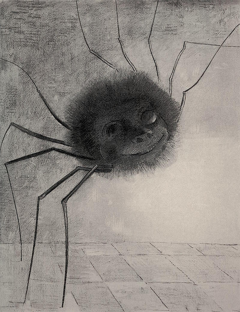 ルドンの黒 Les noirs de Redon 図録 ルドンの黒 眼をとじると見えてくる異形の友人たち Les noirs de