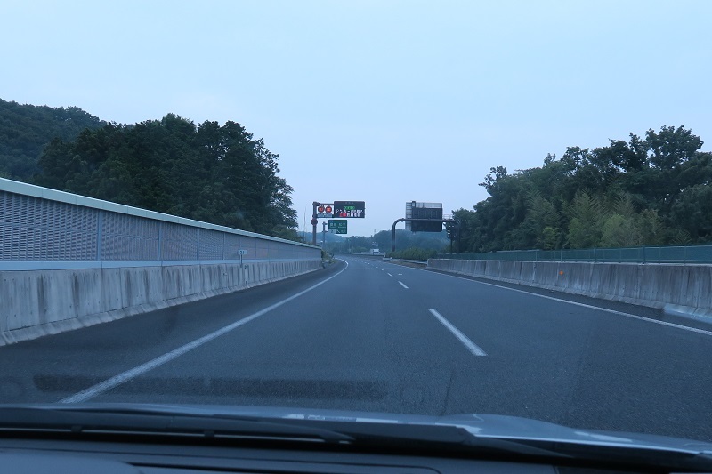 竜舌蘭とGP7_f0076731_12262540.jpg