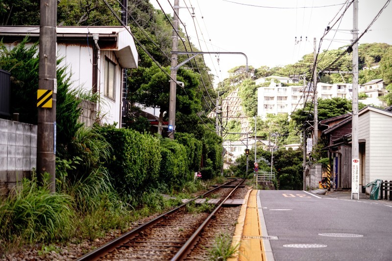 極楽寺、稲村ヶ崎、七里ヶ浜散歩。_b0024832_18412776.jpg