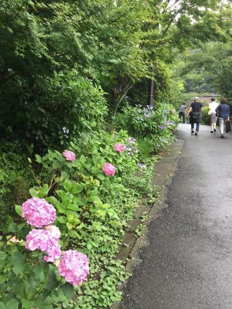 c0221732_00145948.jpeg
