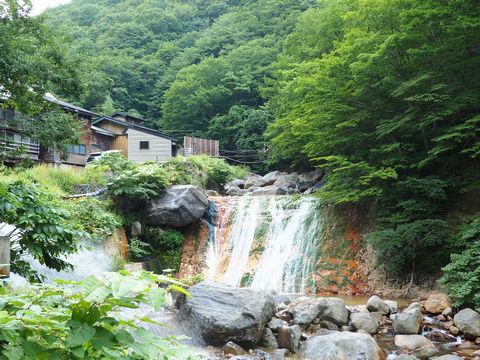 b0042334_083312.jpg