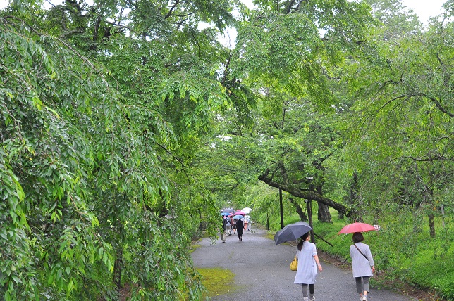 c0142535_1948055.jpg