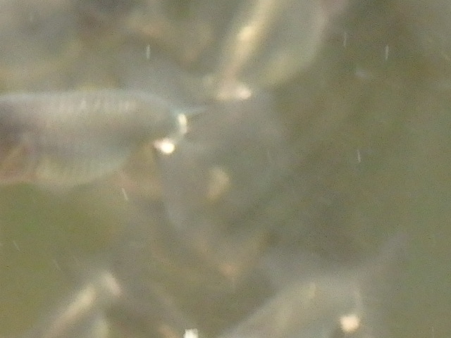 f0334143_850595.jpg