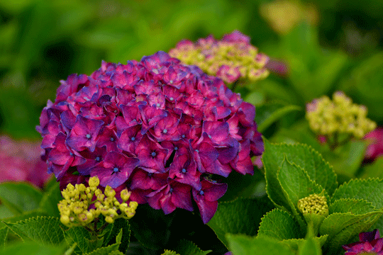 c0093046_17371595.gif