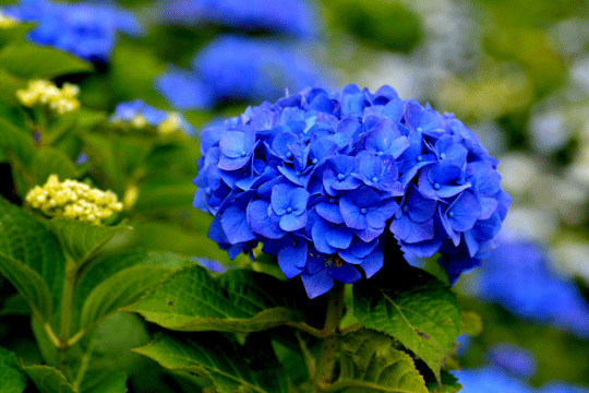 c0093046_1737195.gif