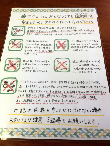 ふくろうカフェFuku×Fuku_e0292546_04041502.jpg