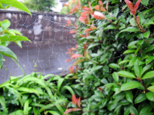 c0147952_082522.jpg