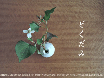 a0286855_1944599.gif