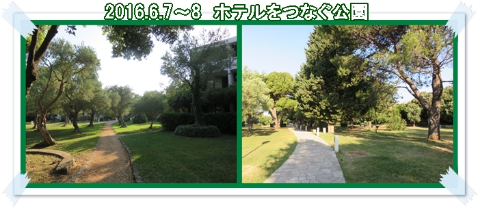 a0052666_0101219.jpg