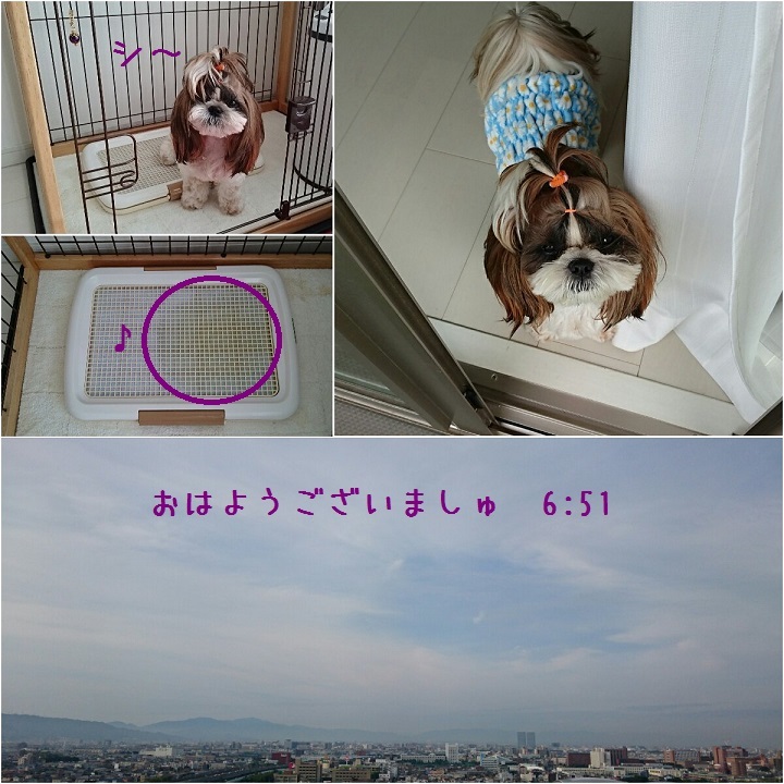 c0363378_15181845.jpg