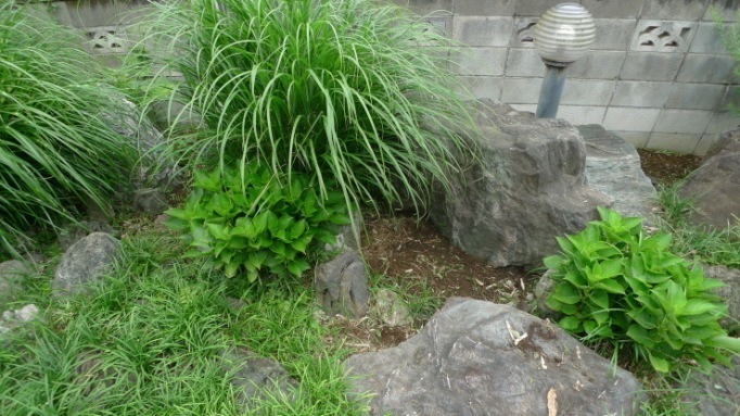 c0212083_18155643.jpg