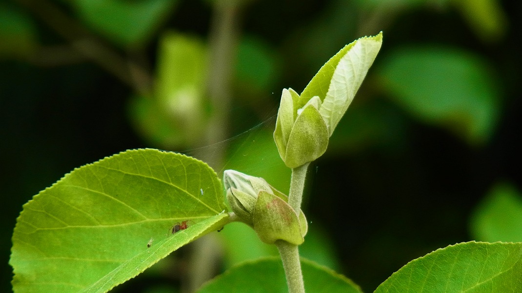 f0346184_17201258.jpg