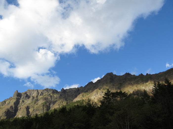 b0339488_21050389.jpg