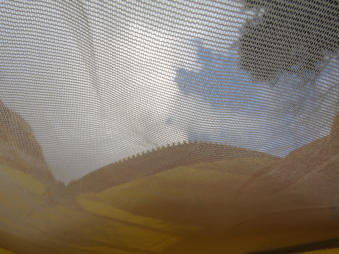 b0339488_21052061.jpg