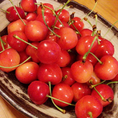 サクランボ♡ページ♪ さくらんぼ」の言い方 : 三毛姐のブログ