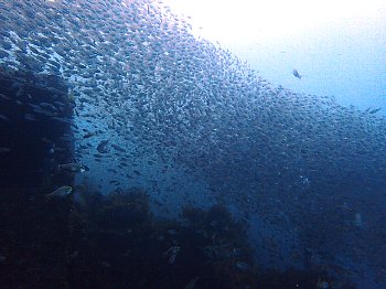 f0079996_14351793.jpg