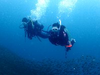 f0079996_1438197.jpg