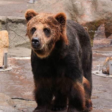 d0090801_15480080.jpg
