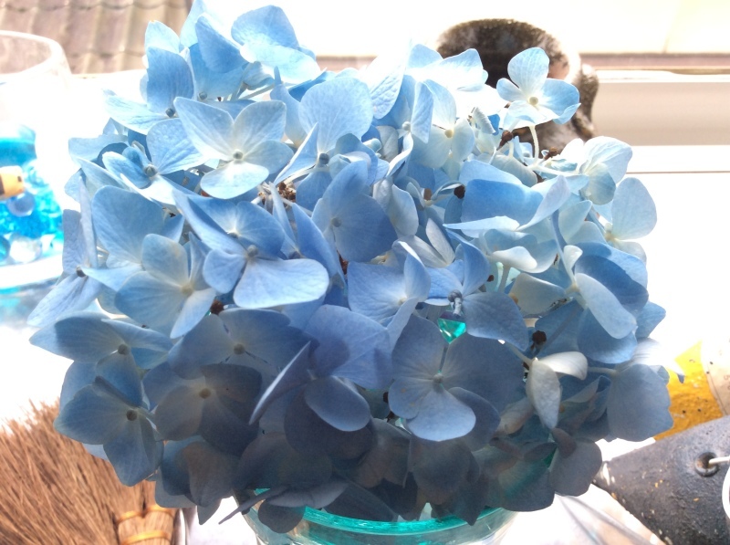 b0220002_10543383.jpeg