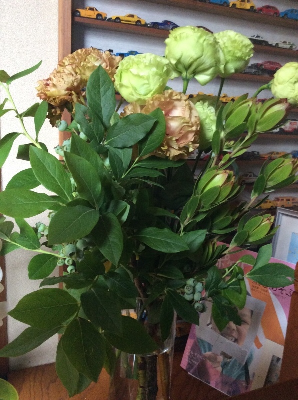 b0220002_10544435.jpeg