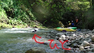 f0164003_39409.jpg