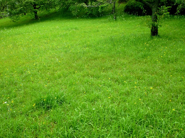 f0361605_22291496.jpg