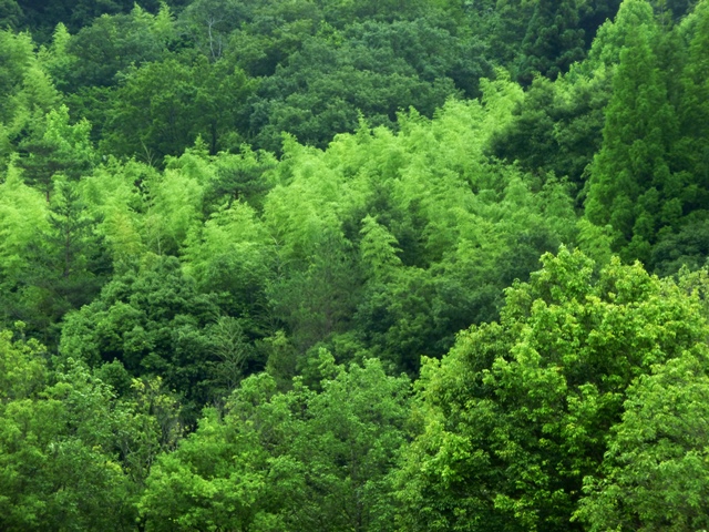 f0361605_22292476.jpg