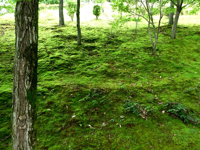 f0361605_2229319.jpg