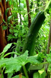 f0361605_2237488.jpg