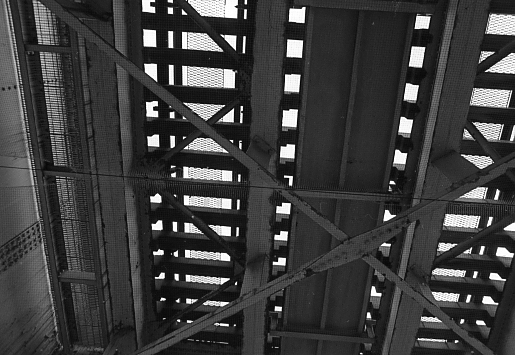 b0320510_1916511.jpg