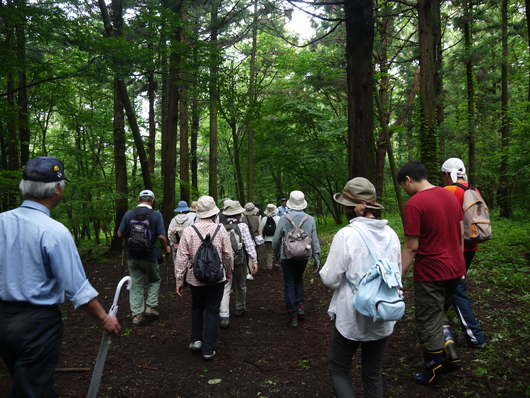 赤城自然園サポーター開園日　auのCM撮影地ツアー_e0205713_21133829.jpg