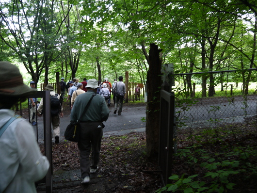 赤城自然園サポーター開園日　auのCM撮影地ツアー_e0205713_2117812.jpg