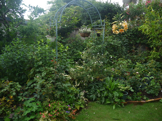 e0205713_21424377.jpg