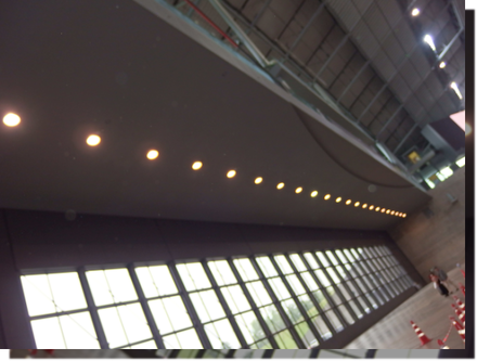 a0114514_2159152.png