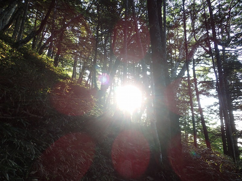 e0284726_16271371.jpg