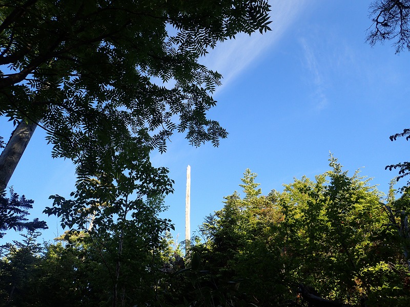 e0284726_16273536.jpg