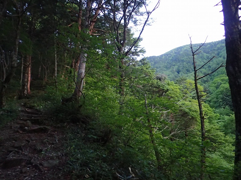 e0284726_1627526.jpg