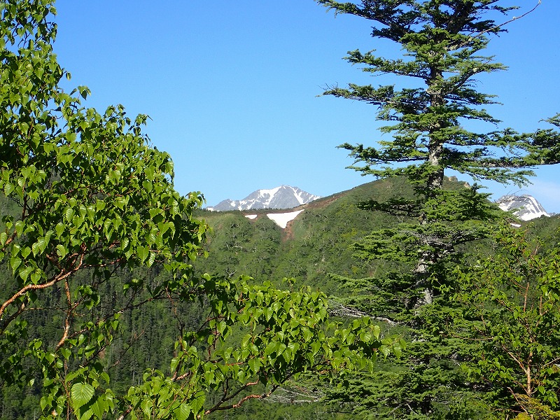 e0284726_1628391.jpg