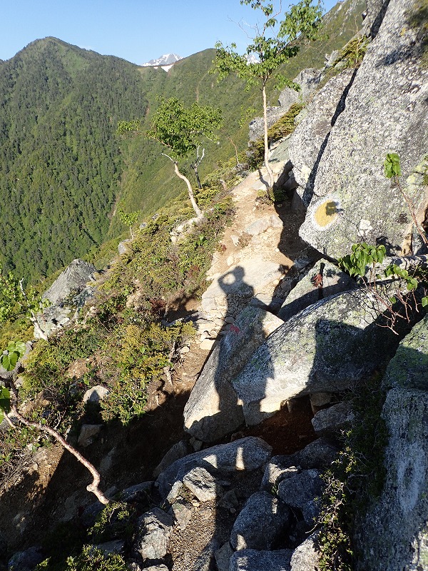 e0284726_16285016.jpg