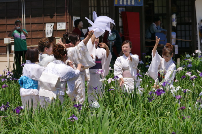 茨城県潮来市　「水郷潮来アヤメ祭り」 ②_d0106628_11355916.jpg