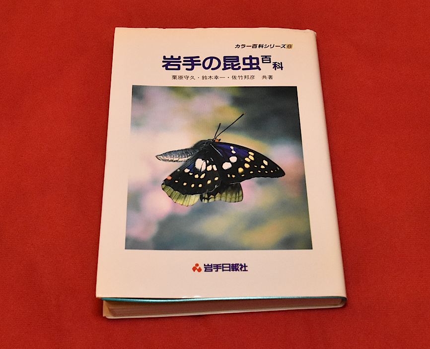 最近買った虫の本6(2016年6月24日) _d0303129_11184457.jpg
