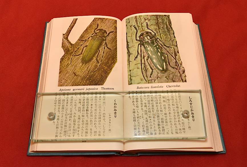最近買った虫の本6(2016年6月24日) _d0303129_11191626.jpg