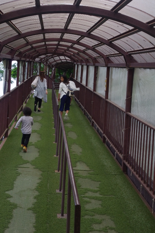 飛騨高山の旅(2日目)_c0113733_23101118.jpg