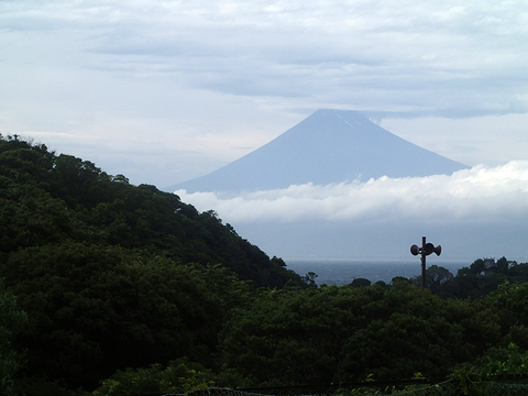 日帰りで大瀬崎＜ちびすけ＞に_c0193735_2224246.jpg