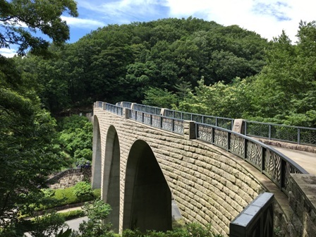 ダイアリー　６月下旬の七沢森林公園_b0330040_22060654.jpg